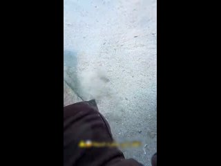 the jump for likes almost cost his life