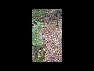 video by is overheard a great ustyug