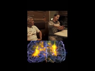 filter in the brain (geb)