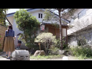 dandy-994